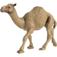 Safari Ltd. Safari Ltd Wild Safari Wildlife Dromedary Camel