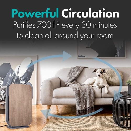  Alen FLEX Air Purifier, Quiet Air Flow for Large Rooms, 700 SqFt, Air Cleaner for Allergens, Dust, Mold, Pet Odors with Long Filter Life