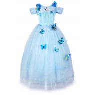 JerrisApparel New Cinderella Dress Princess Costume Butterfly Girl