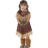 California Costumes Girls Lil Indian Princess Toddler Costume