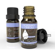 Two Scents Rosemary Cineole Type (Hungary) Essential Oil - 100% Pure & Natural Premium Therapeutic Grade Oil - Use for Nebulizer, Ultrasonic Diffuser, Skin, Perfume, Lip...