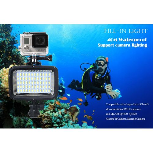  [아마존베스트]RinTalen Scuba Diving Light Xiehaige 40m Waterproof 1800LM 12W High Performance POV Flash Fill Light 20Leds For GoPro Hero 3/3+ Cameras DSLR/4/5