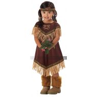California Costumes Lil Indian Princess Toddler Costume-