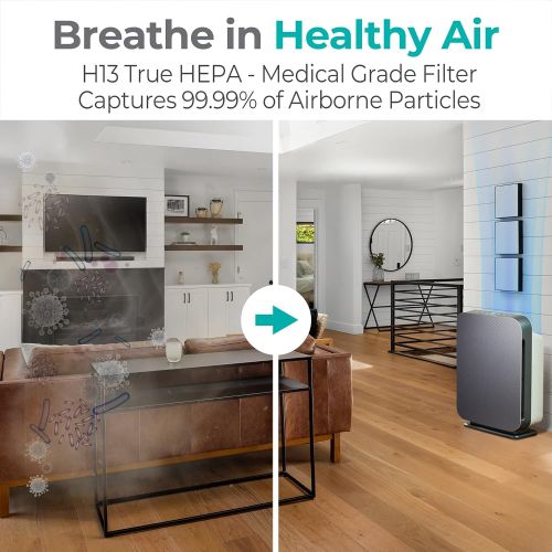  Alen 75i Air Purifier, Quiet Air Flow for Extra-Large Rooms, 1300 SqFt, Air Cleaner for Allergens, Dust, Mold, Pet Odors, Smoke with Long Filter Life