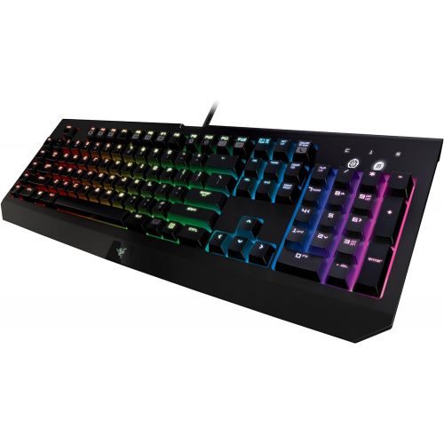 레이저 Razer BlackWidow Chroma: Clicky RGB Mechanical Gaming Keyboard - 5 Macro Keys - Razer Green Mechanical Switches (Tactile and Clicky)