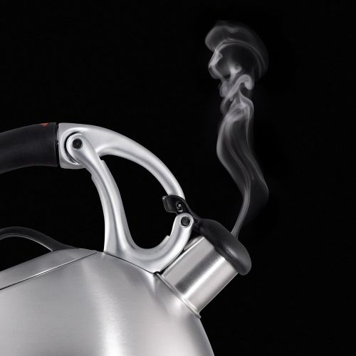 옥소 [아마존베스트]OXO BREW Uplift Tea Kettle, Brushed Stainless Steel