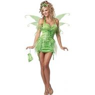California Costumes Tinkerbell Fairy Costume