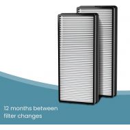 HoMedics TotalClean True HEPA Filter Replacement for Air Purifiers (2 Pack), Works with HoMedics AT-PET01, AT-PET02, and AT-45 Air Purifiers that Removes up to 99.97% Airborne Part
