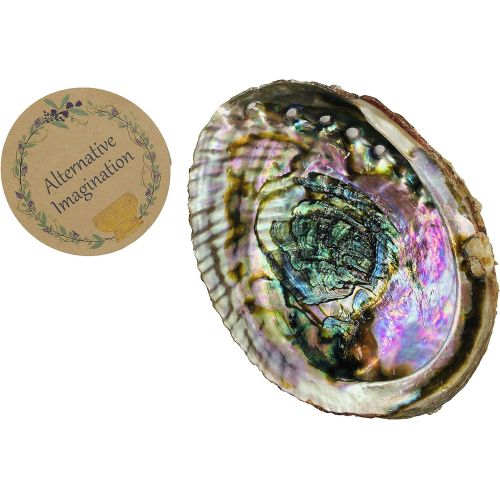  인센스스틱 Alternative Imagination Hand Selected Abalone Shell, 6.5 Inches or Larger. Perfect for Holding Incense, Trinkets, and More
