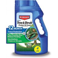 BioAdvanced 701900B 12-Month Shrub Protect & Feed Insect Killer and Tree Food, 4-Pound, Granules