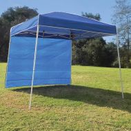 Z-Shade 10 x 10 Instant Canopy Tent Sidewall Accessory Only, Blue (4 Pack)