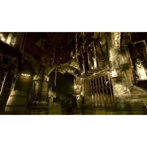  [아마존베스트]Capcom Resident Evil 5: Gold Edition - Playstation 3
