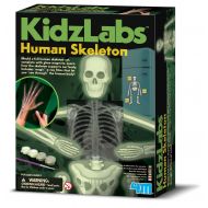 4M Glow Human Skeleton Science Kit