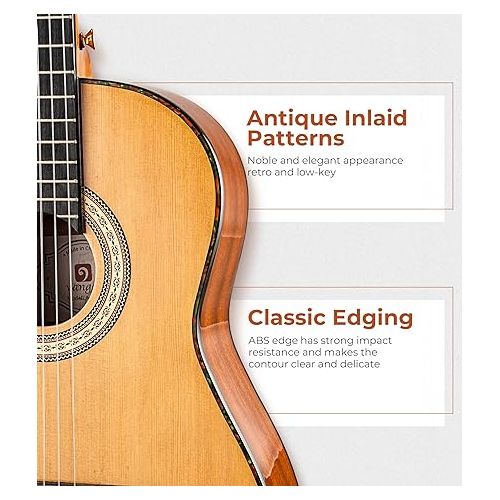  Classical Guitar Full Size 4/4 Spanish Style Classical Guitarra, 39 Inch Nylon Strings Guitar Ideal for Beginner Adults, Solid Cedar Top, by Vangoa