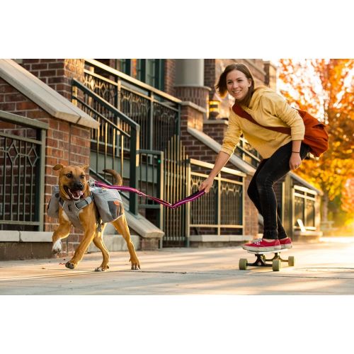  [아마존베스트]RUFFWEAR - Commuter Rucksack Inspired Pack for Dogs