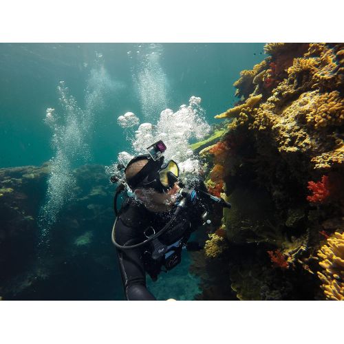 고프로 GoPro Dive Filter for Dive Housing (Magenta) (GoPro Official Accessory)