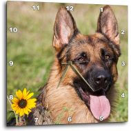 3dRose DPP_145330_3 Portrait of German Shepherd Dog Us32 Zmu0080 Zandria Muench Beraldo Wall Clock, 15 by 15-Inch