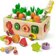 Montessori Fine Motor Toys for Baby Toddler, Wooden Shape Sorter Carrot Harvest Game, Preschool Learning Educational Gift Toy for 3 4 5 Year Old