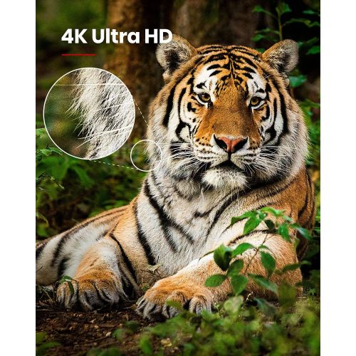  4K Projector, Anker Nebula Cosmos Max 4K UHD TV Home Theater/Entertainment Projector, Android TV 9.0 with 5000+ Apps, Dolby Digital Plus, 360° of True 3D Audio, HDR10, HLG