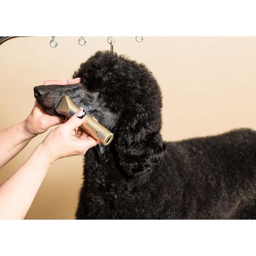  [무료배송] 왈 바리깡 프로페셔널 무선 클리퍼 Wahl Professional Animal MiniArco Corded / Cordless Pet, Dog, Cat, and Horse Trimmer Kit (#8787-450A)