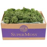 Super Moss 25155 B01C5RTUIS, 3 lb Basil