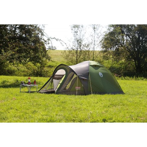 콜맨 Coleman Darwin 3 Plus dome tent grey/green