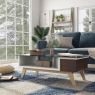 Furniture of America Starmi Mid-Century Modern Two-Tone Glass Top Coffee Table Espresso
