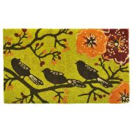 Calloway Mills 120192436 Birds in a Tree Doormat, 24 x 36 Multicolor