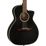 Fender},description:Follow your musical vision and express yourself with the unique Newporter Special. The exclusive medium-sized Newporter shape gives it a balanced voice that’s b