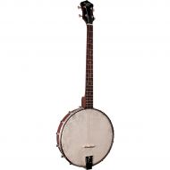 Recording King},description:The Recording King Dirty 30s Tenor Banjo brings 100 years of history into the present, road-ready vibe of the Dirty 30s line. The tenor banjo first came