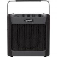 Fender},description:The Fender Passport mini offers convenient amplification for any instrument or microphone. Its perfect for street musicians and students, its also a great for e