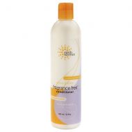 Walgreens Earth Science Conditioner For Sensitive Hair & Scalp Fragrance Free