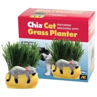 Walgreens CHIA Cat Grass Handmade Decorative Grass Planter Snoozing Kitty