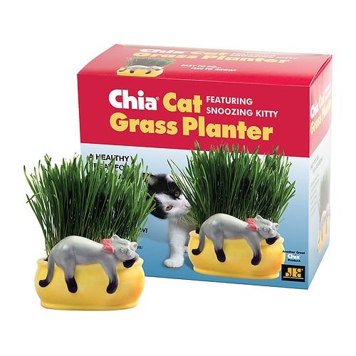 월그린 Walgreens CHIA Cat Grass Handmade Decorative Grass Planter Snoozing Kitty
