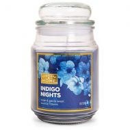 Walgreens Patriot Candles Jar Candle Indigo Nights