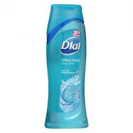Walgreens Dial All Day Freshness, Moisturizing Body Wash Spring Water