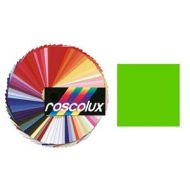 Rosco #5783 Fluorescent Paint, 1 Pint, Green 150057830016 - Adorama