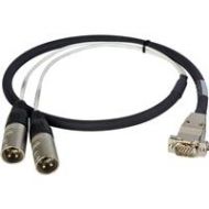 Adorama Laird 3 HD15 to XLR Male Analog Audio I/O Cable for Ensemble Designs BE 54 ED-BE-2XM-003