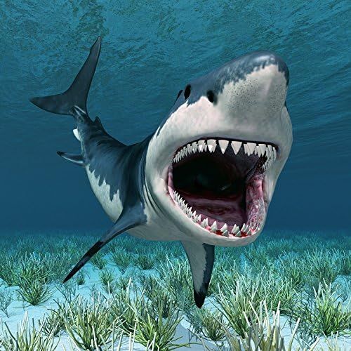  Yeele 4x4ft Vinyl Shark Backdrops Underwater World Background Aquarium 3D Great White Shark Under The Sea Ocean Cartoon Backdrop for Photography Boy Kid Happy Birthday Party Photo