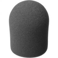 Audio-Technica Foam Windscreen for Large Diaphragm Studio Microphones